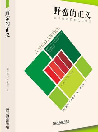 野蛮的正义 [人文社科] [pdf+全格式]夸克网盘下载